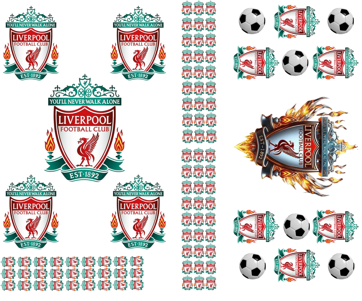 #5PC003