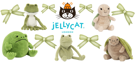 #JC006